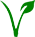 vegetarian